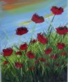 Coquelicots